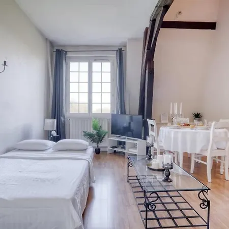 Sublime Appart Chateau Duplex Golf 4pers Parking Apartment *
